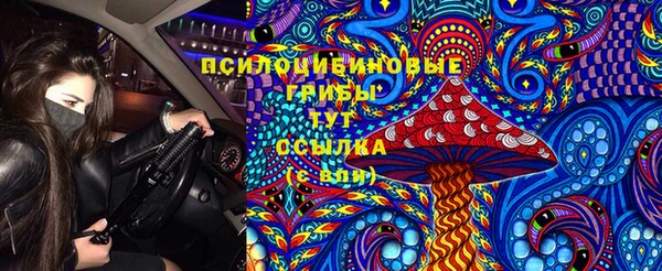 трава Арсеньев