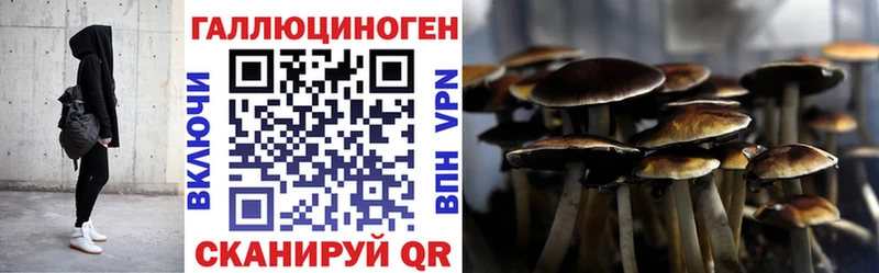магазин  наркотиков  Пятигорск  МЕГА вход  Псилоцибиновые грибы мухоморы 